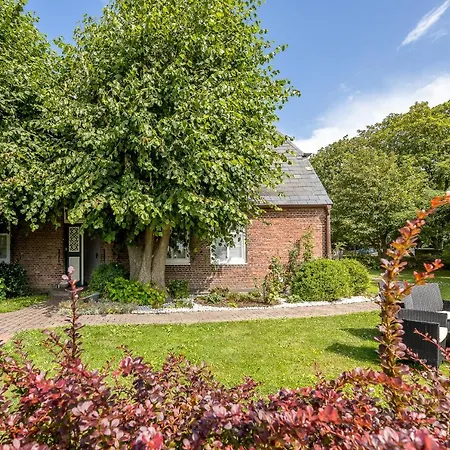 Daire Floer Morsum (Sylt)